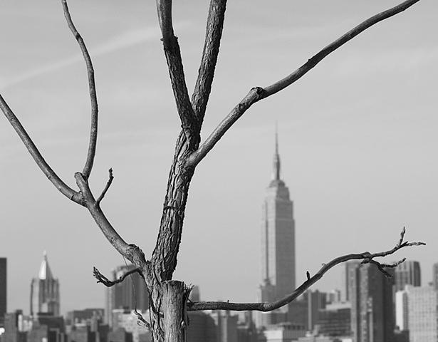 Williamsburg, BK