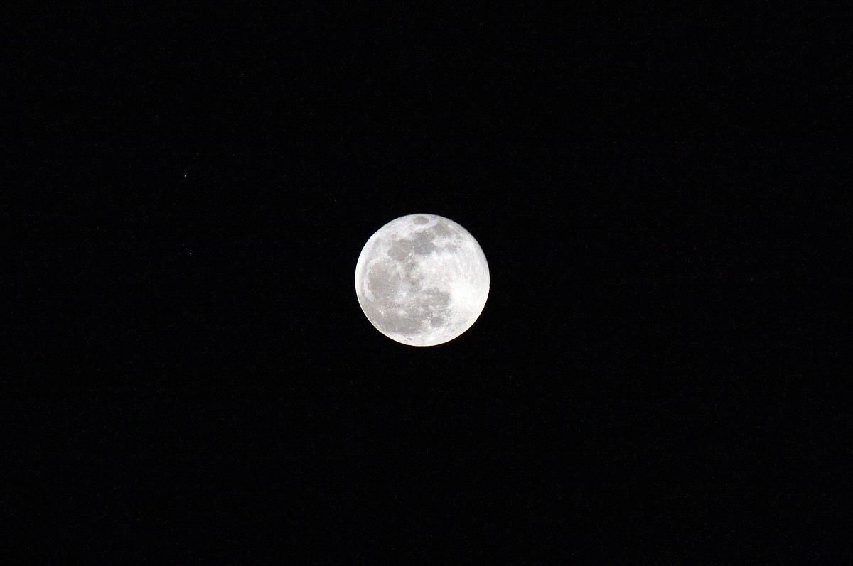 Moonshot Moonshot