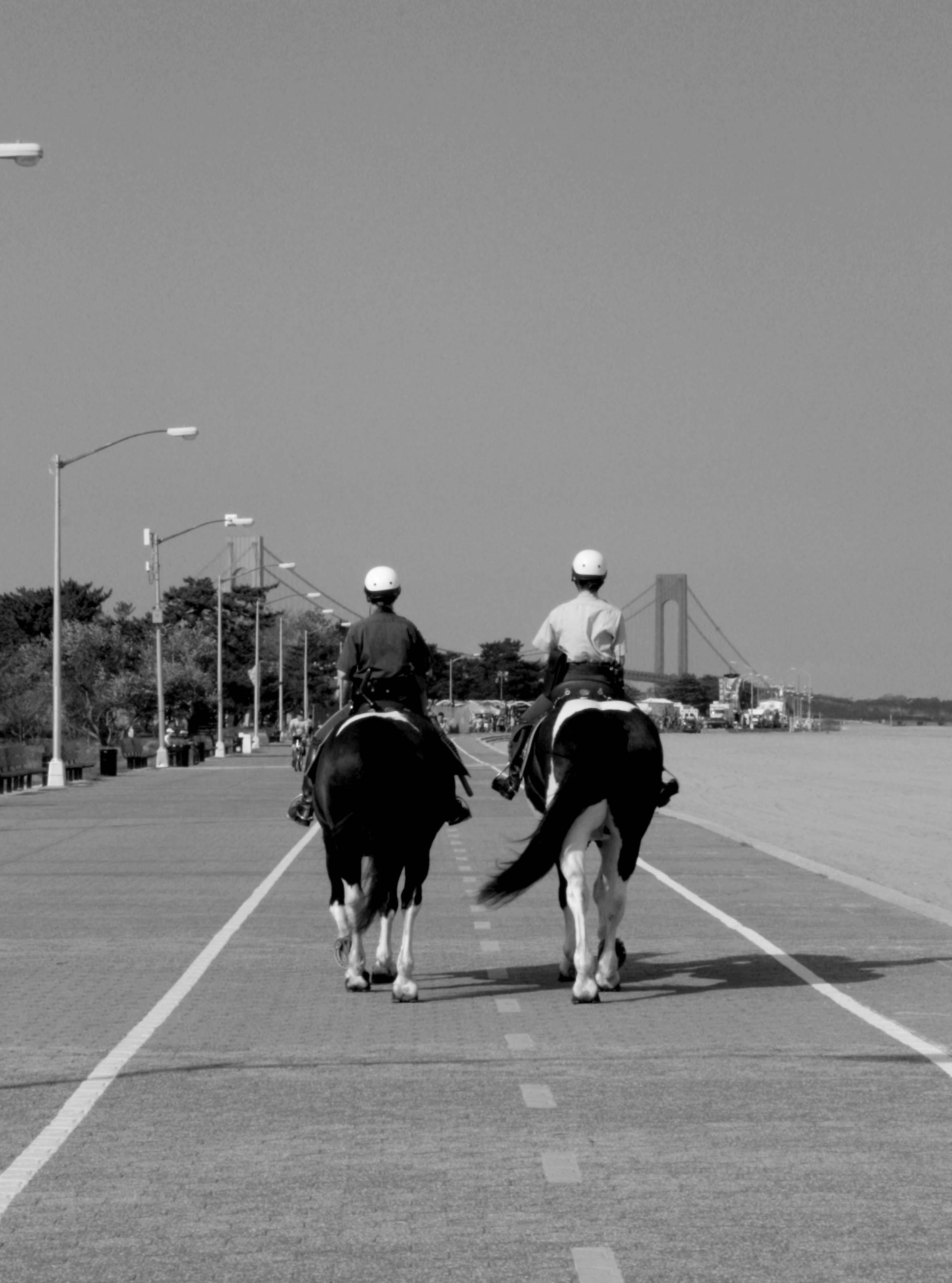 Parks Enforcement