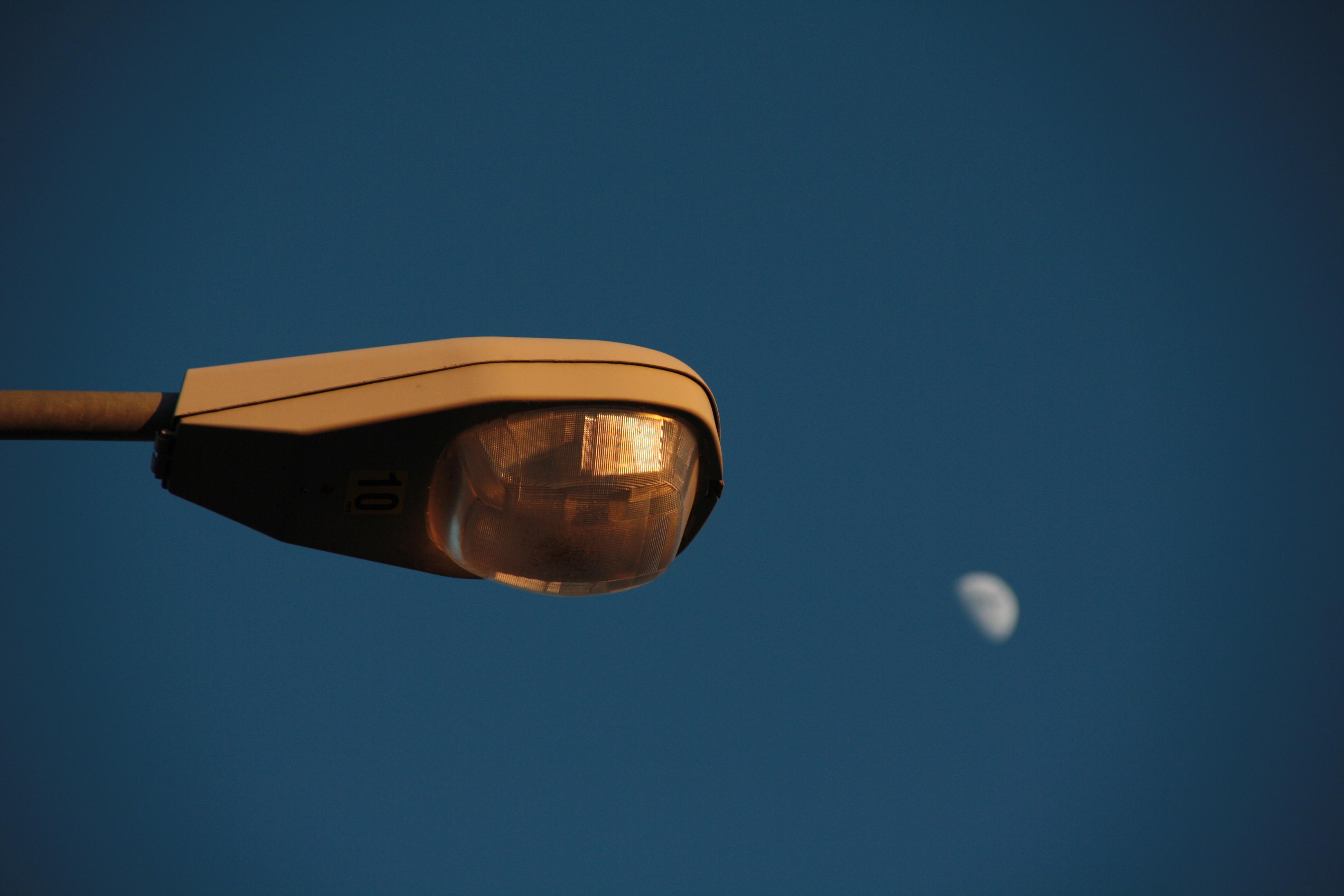 Moonlight
