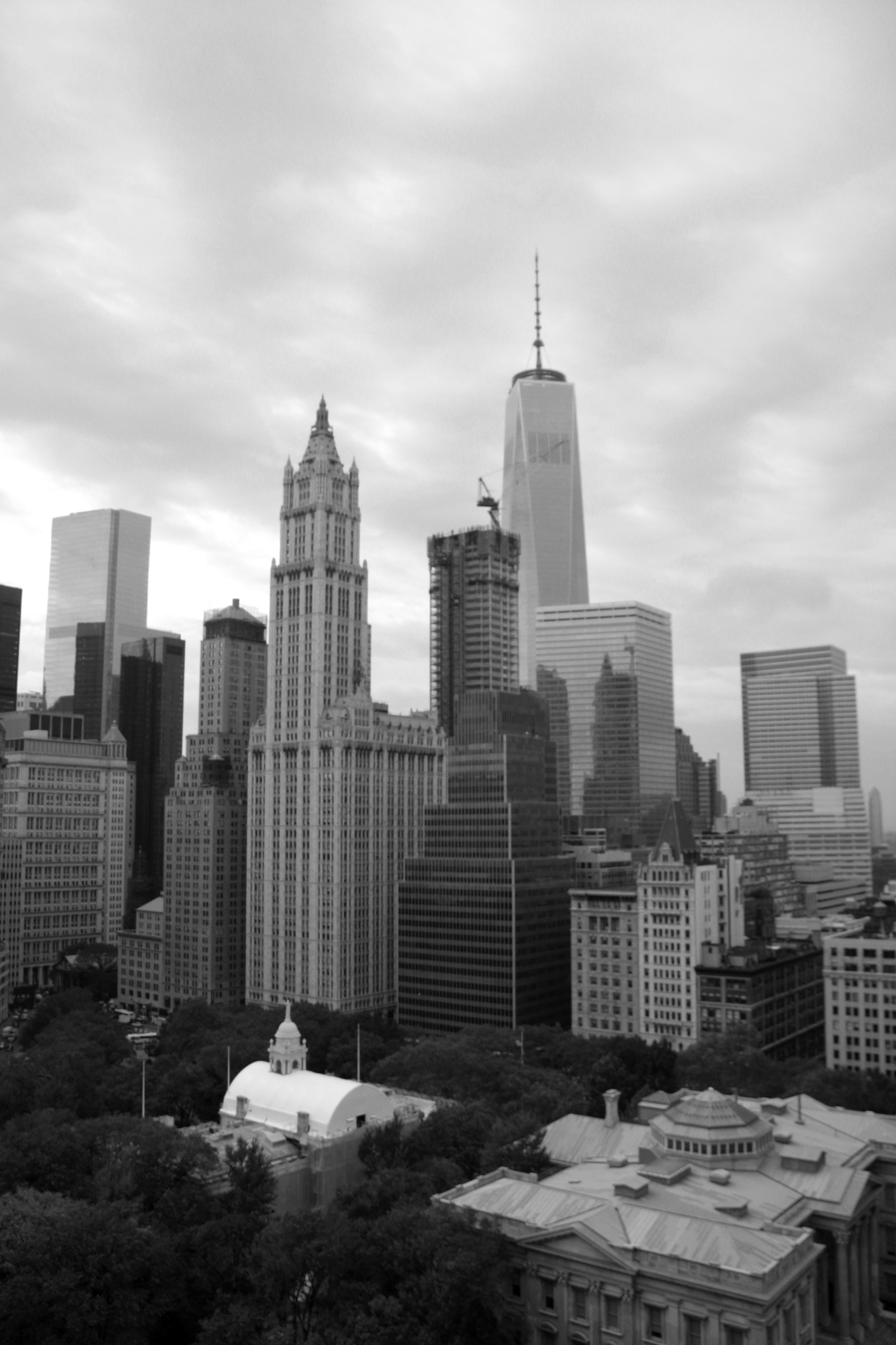 Gray Skies
