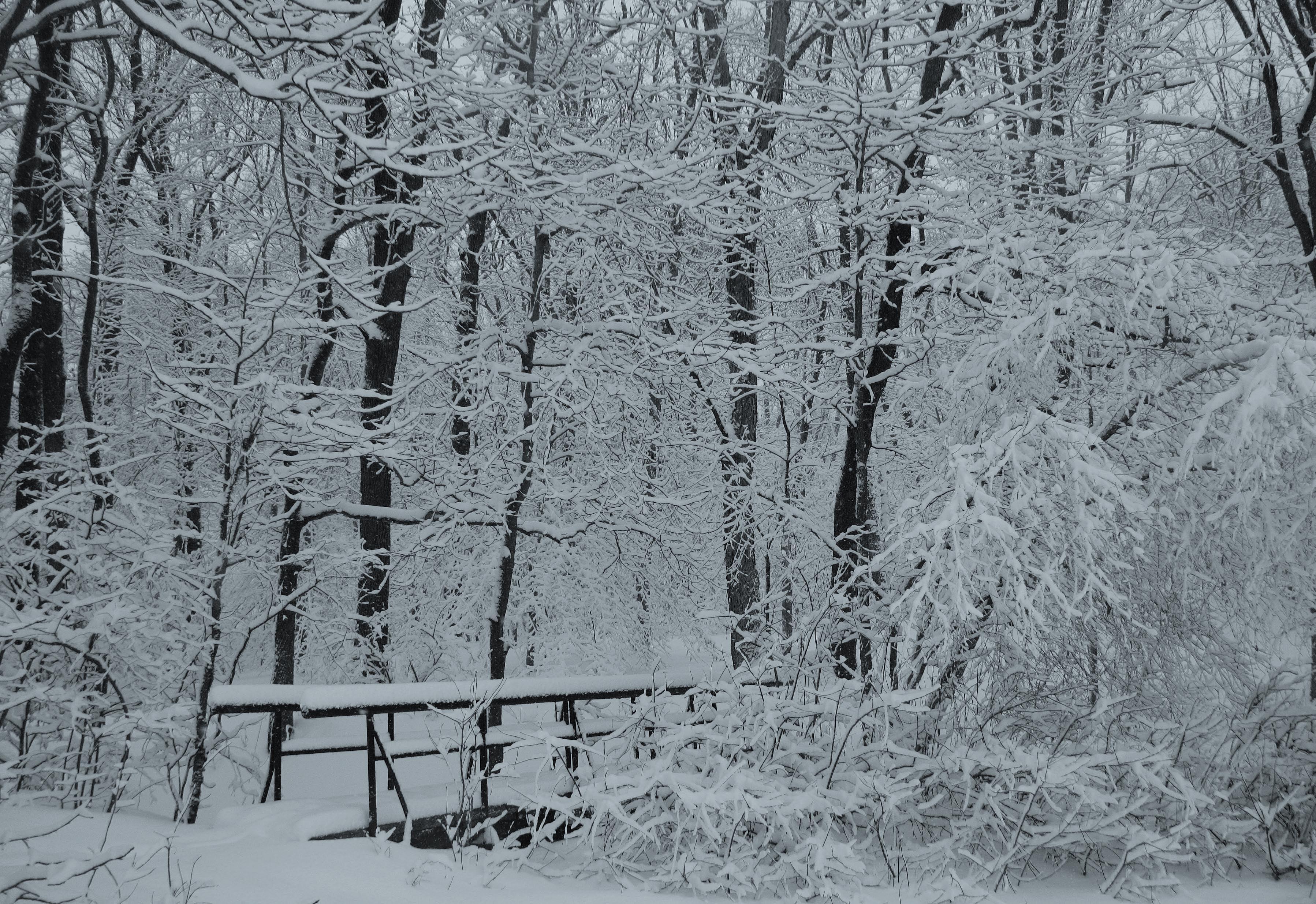 Winters Bridge