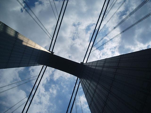 Going Home. VN Angle