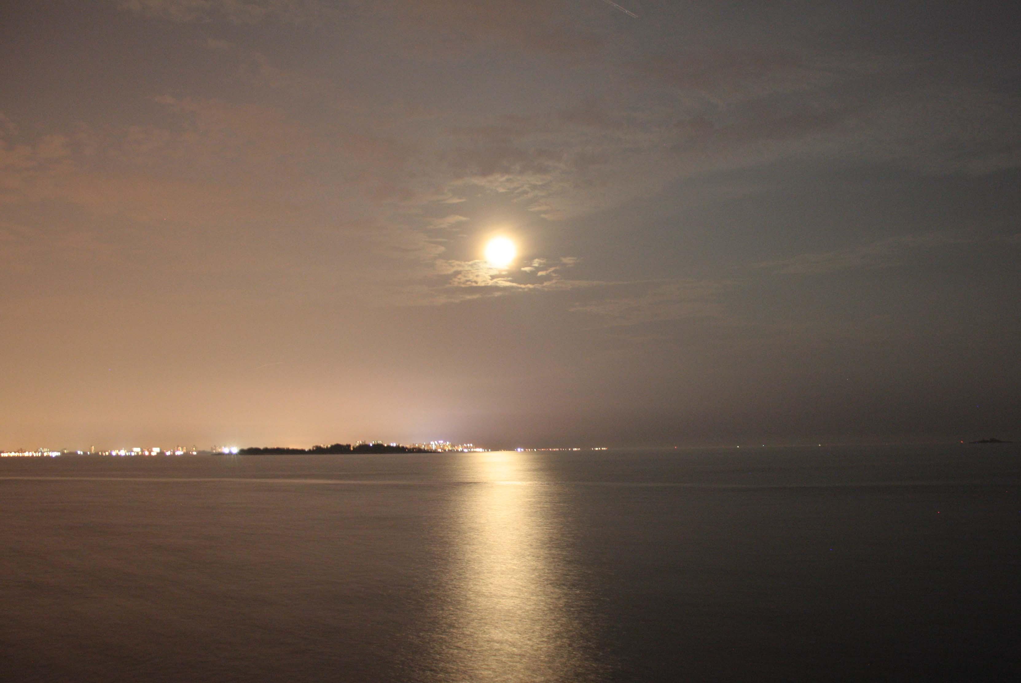 Moon Over Brooklyn