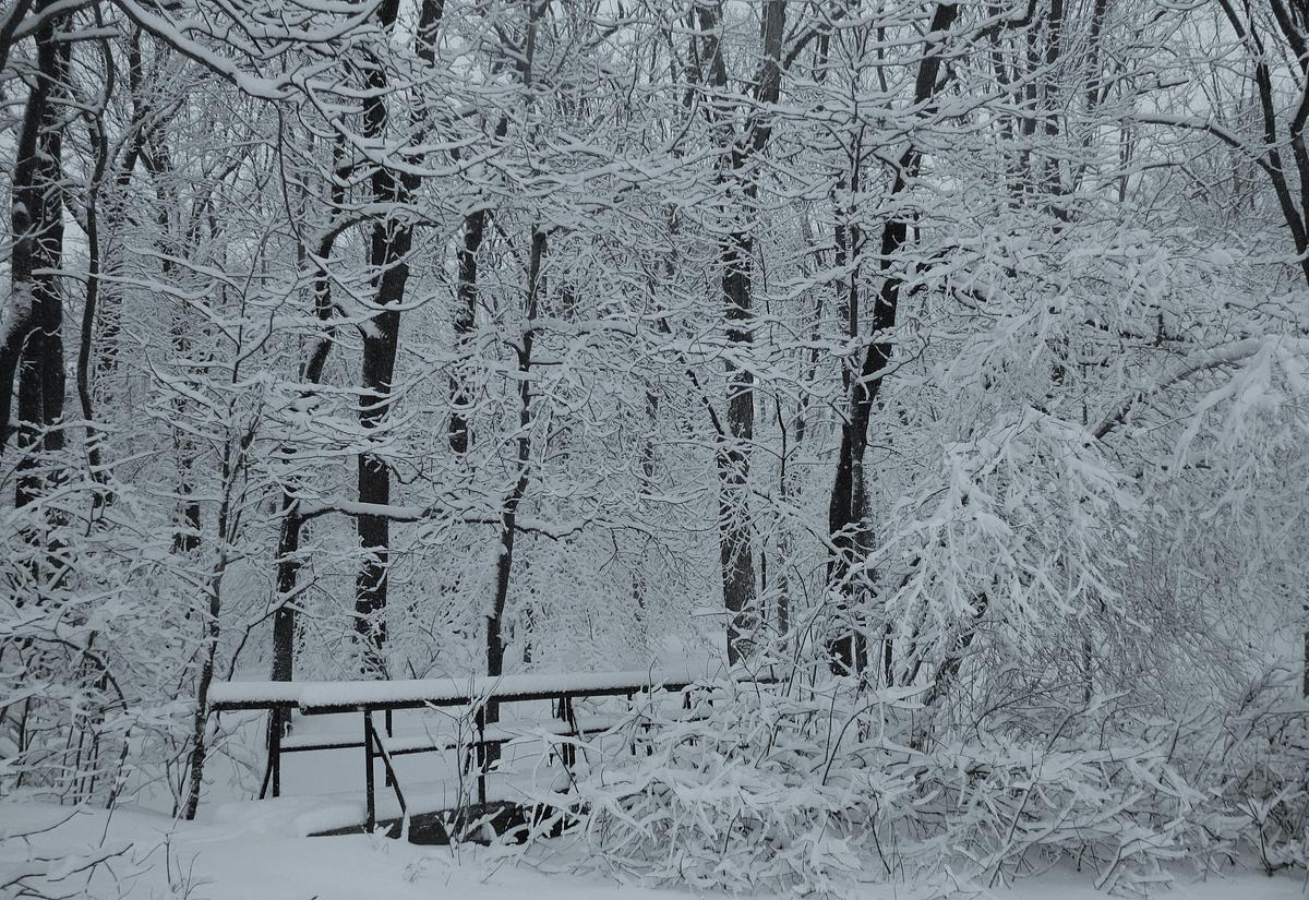 Winters Bridge Winters Bridge