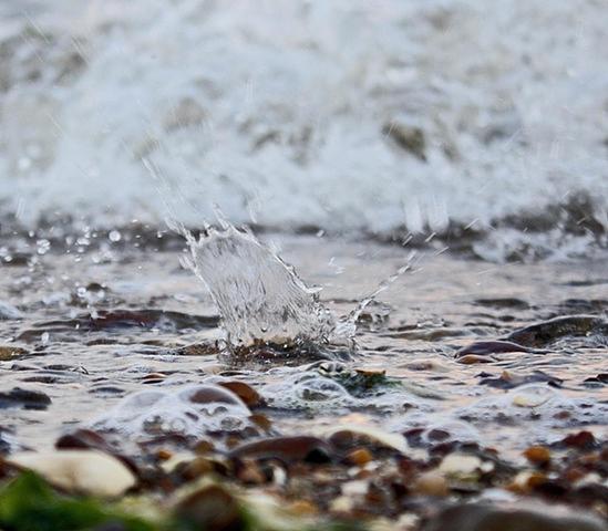 Beach Wave
