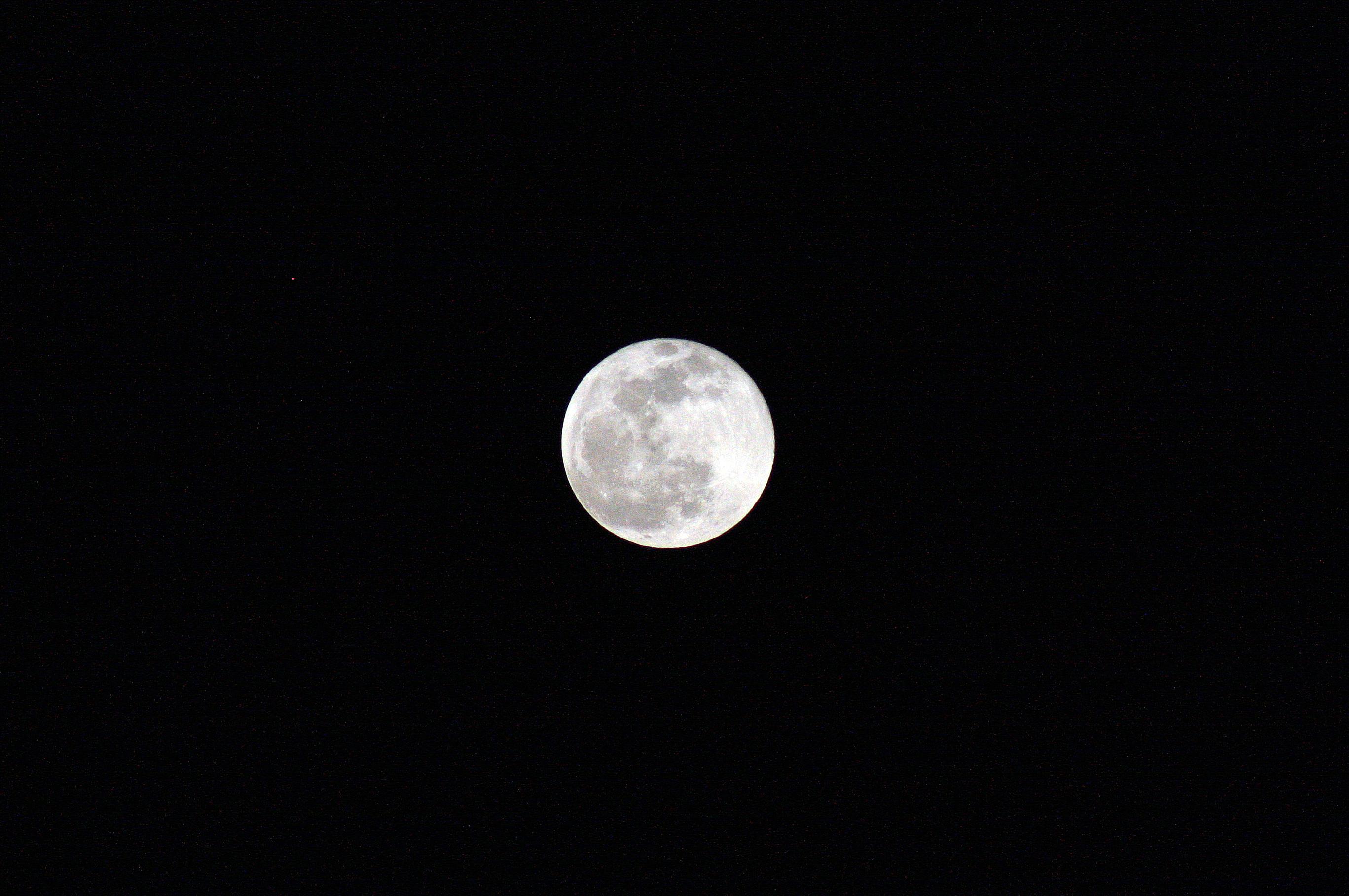 Moonshot