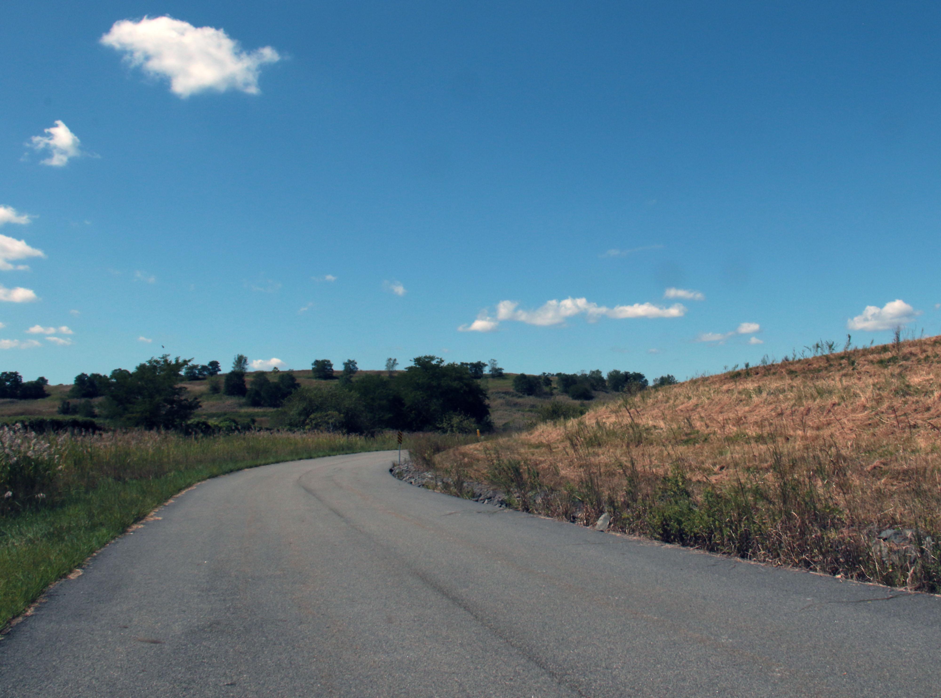 A Case Of The Bends